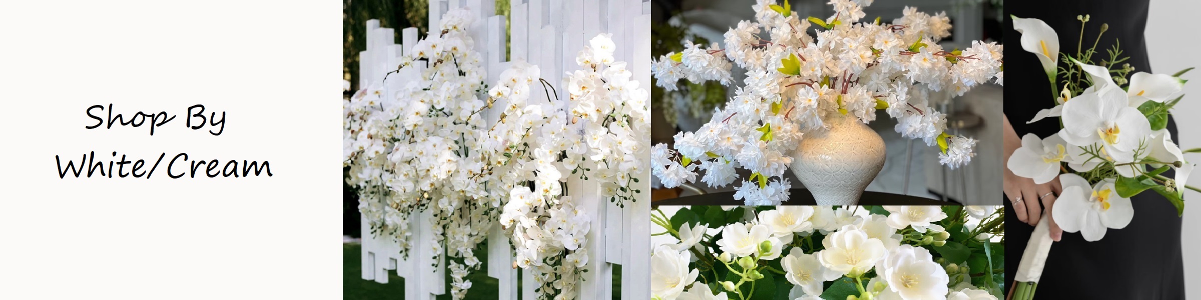 White & Cream